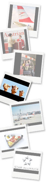 /files/image/austrian-destinationer.jpg - austrian-destinationer.jpg