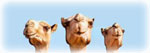 /files/image/austrian-promo-destinationer.jpg - austrian-promo-destinationer.jpg