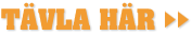 Spela hockeyspelet