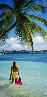 /files/image/paradise.gif - paradise.gif