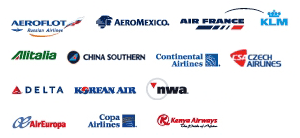 /files/image/skyteam-1.gif - skyteam-1.gif