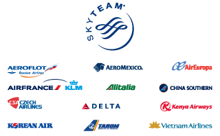 SkyTeam Partners