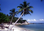 /files/image/strand.jpg - strand.jpg /files/image/strand.jpg - strand.jpg
